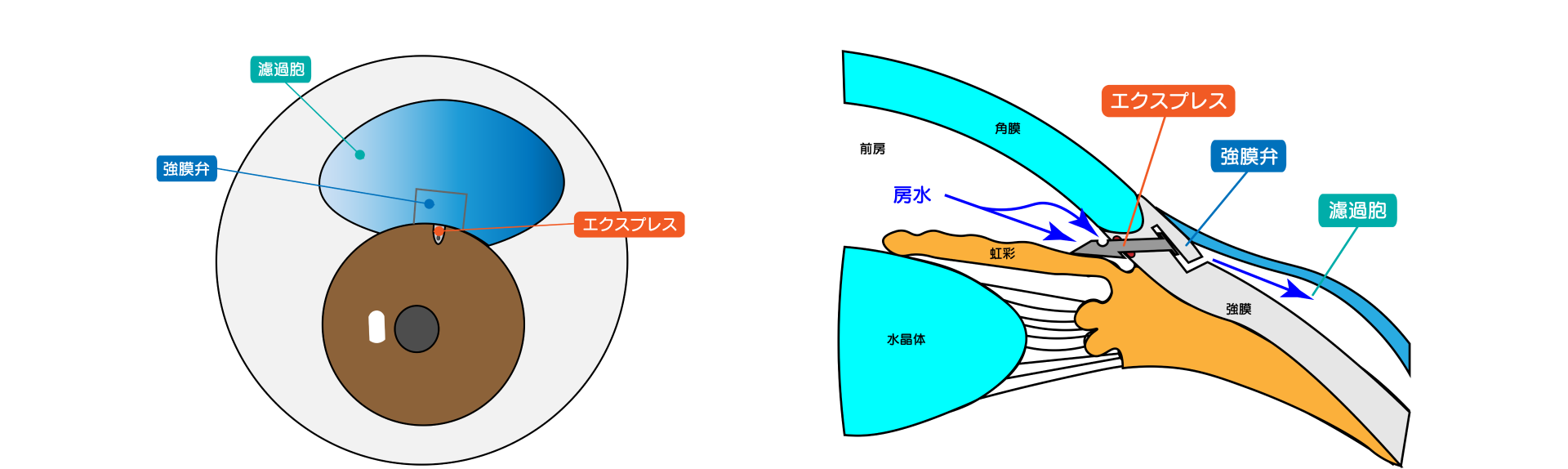 エクスプレス　図解