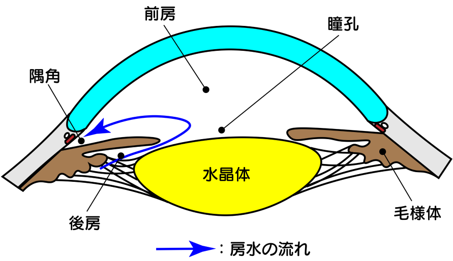 エクスプレス　図解